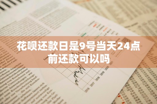 花呗还款日是9号当天24点前还款可以吗