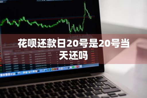 花呗还款日20号是20号当天还吗