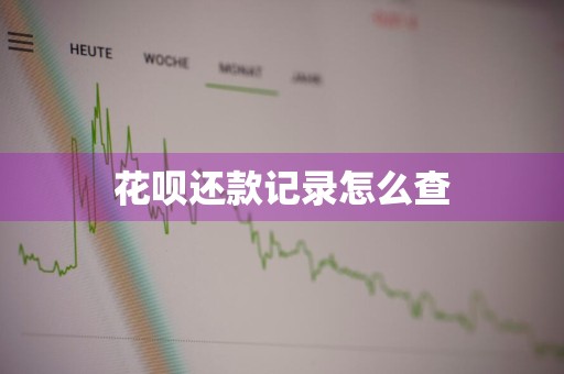 花呗还款记录怎么查
