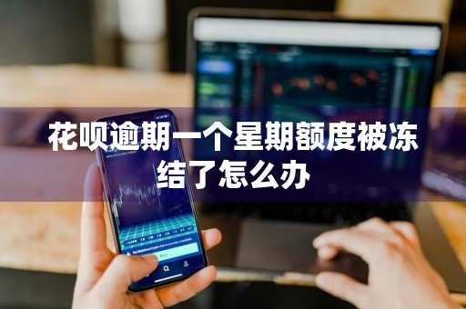 花呗逾期一个星期额度被冻结了怎么办
