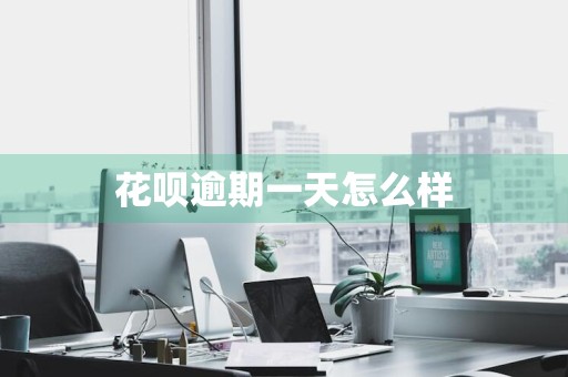 花呗逾期一天怎么样