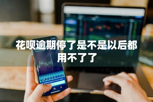 花呗逾期停了是不是以后都用不了了
