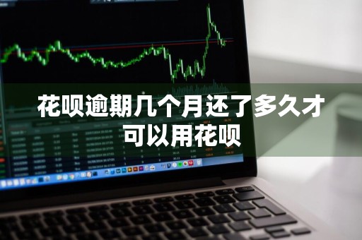 花呗逾期几个月还了多久才可以用花呗