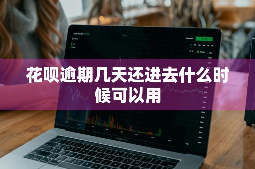 花呗逾期几天还进去什么时候可以用