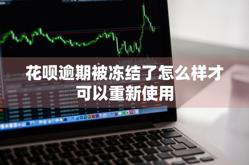 花呗逾期被冻结了怎么样才可以重新使用