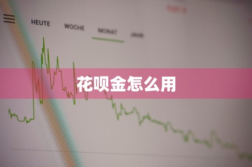 花呗金怎么用