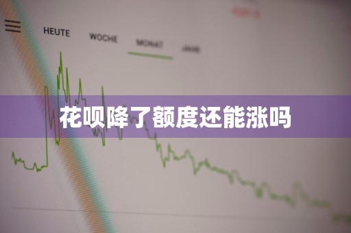 花呗降了额度还能涨吗