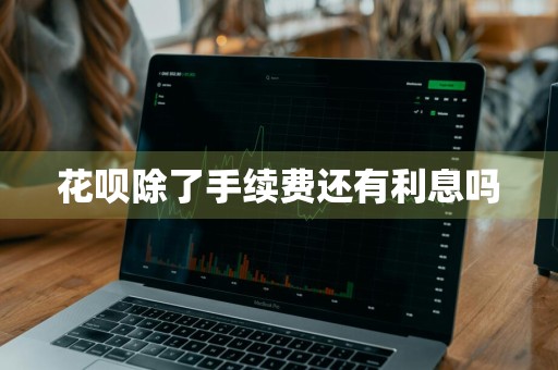 花呗除了手续费还有利息吗