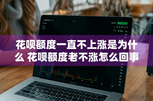花呗额度一直不上涨是为什么 花呗额度老不涨怎么回事