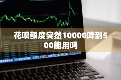 花呗额度突然10000降到500能用吗