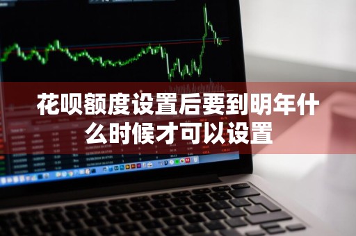 花呗额度设置后要到明年什么时候才可以设置