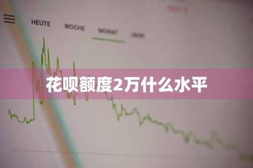 花呗额度2万什么水平