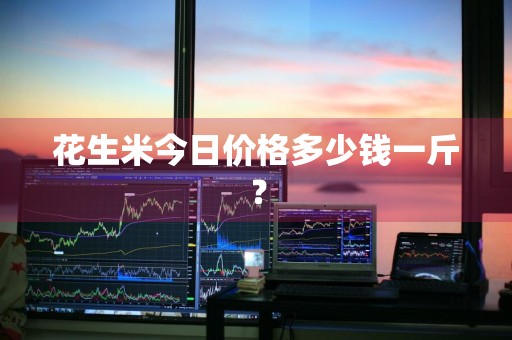 花生米今日价格多少钱一斤？