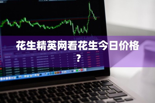花生精英网看花生今日价格？