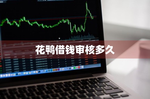 花鸭借钱审核多久