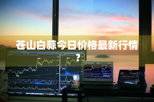 苍山白蒜今日价格最新行情？