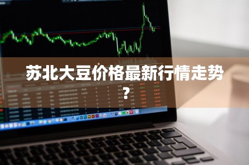 苏北大豆价格最新行情走势？