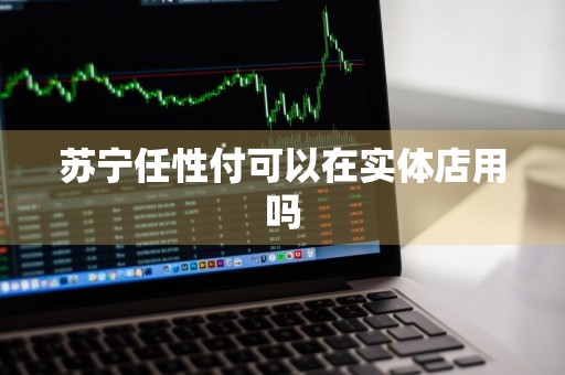 苏宁任性付可以在实体店用吗