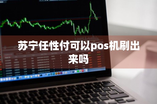 苏宁任性付可以pos机刷出来吗