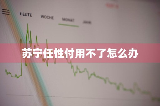 苏宁任性付用不了怎么办