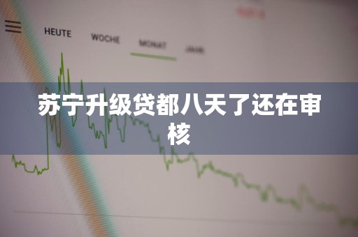 苏宁升级贷都八天了还在审核