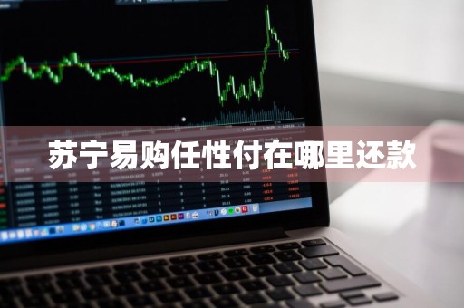 苏宁易购任性付在哪里还款