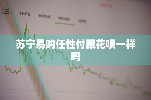 苏宁易购任性付跟花呗一样吗