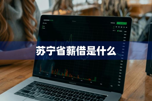 苏宁省薪借是什么