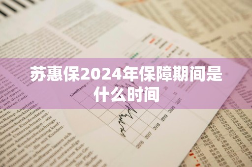 苏惠保2024年保障期间是什么时间