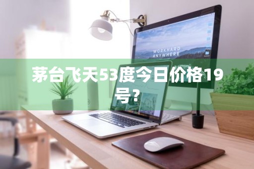 茅台飞天53度今日价格19号？
