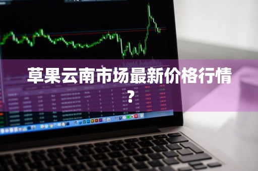 草果云南市场最新价格行情？