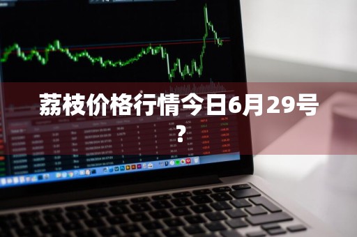 荔枝价格行情今日6月29号？