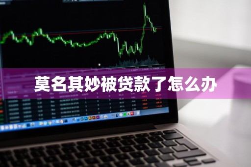 莫名其妙被贷款了怎么办