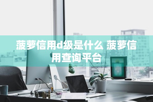菠萝信用d级是什么 菠萝信用查询平台