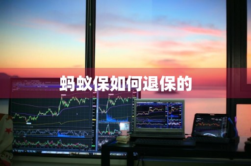 蚂蚁保如何退保的