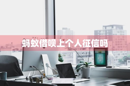 蚂蚁借呗上个人征信吗