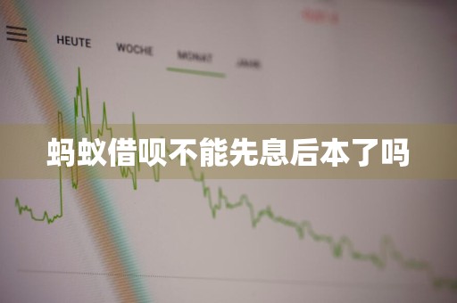 蚂蚁借呗不能先息后本了吗