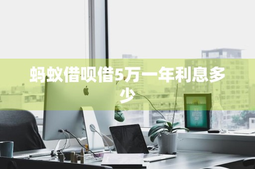 蚂蚁借呗借5万一年利息多少