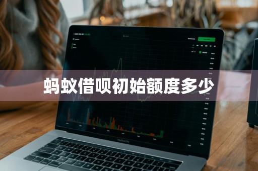 蚂蚁借呗初始额度多少