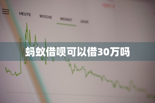 蚂蚁借呗可以借30万吗