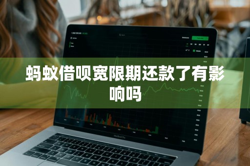 蚂蚁借呗宽限期还款了有影响吗