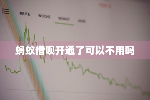 蚂蚁借呗开通了可以不用吗
