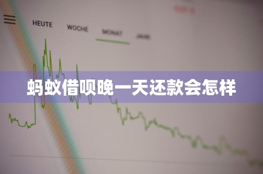 蚂蚁借呗晚一天还款会怎样
