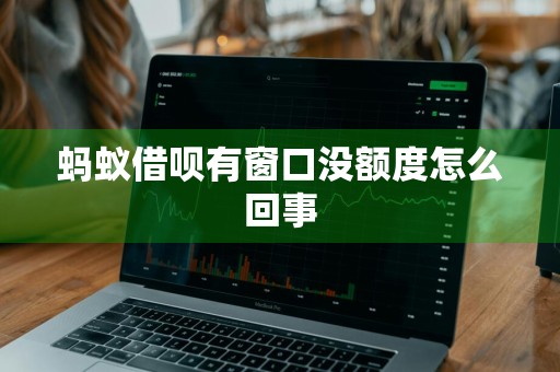 蚂蚁借呗有窗口没额度怎么回事