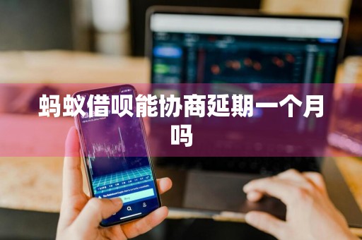 蚂蚁借呗能协商延期一个月吗