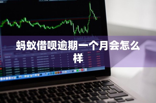 蚂蚁借呗逾期一个月会怎么样