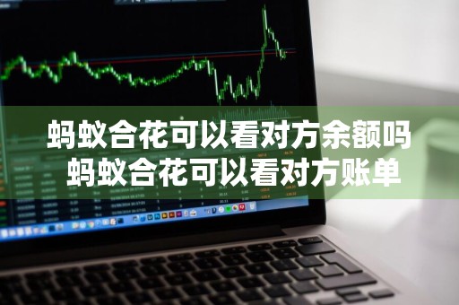 蚂蚁合花可以看对方余额吗 蚂蚁合花可以看对方账单吗