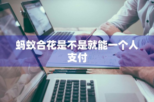 蚂蚁合花是不是就能一个人支付