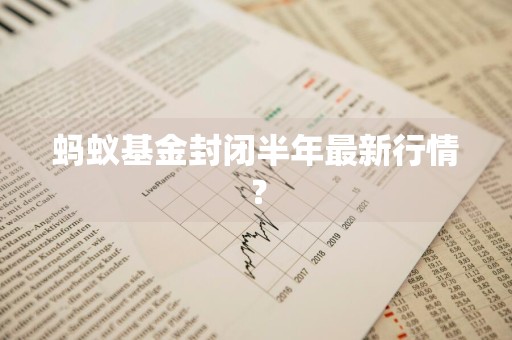 蚂蚁基金封闭半年最新行情？