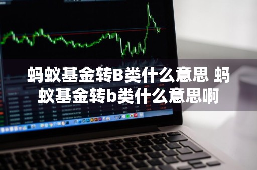 蚂蚁基金转B类什么意思 蚂蚁基金转b类什么意思啊
